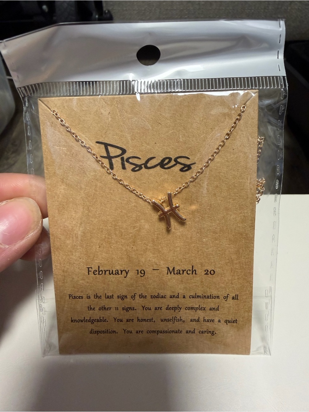 Pisces Zodiac Necklace - Rose Gold Pisces Symbol